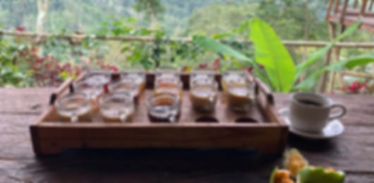 Bali with Kids: Wildlife, Nature & Beaches