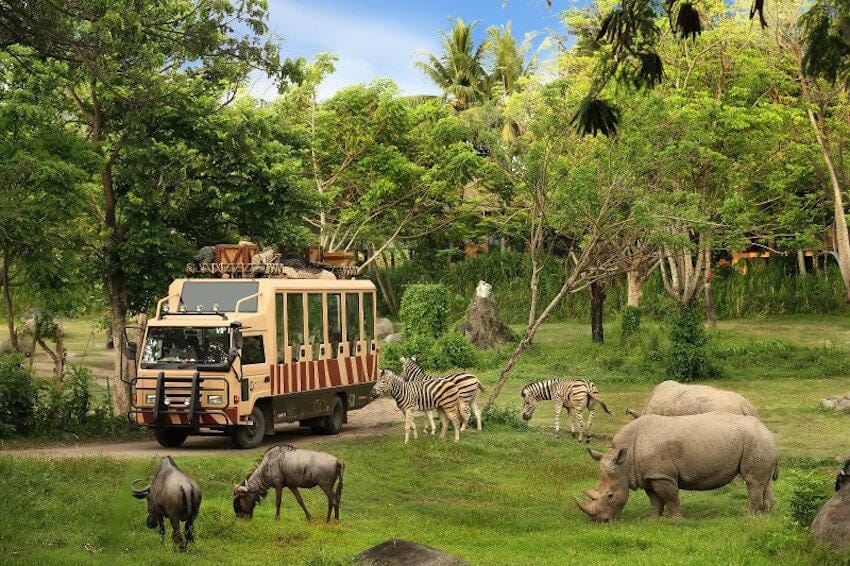 Action-Packed Bali Family Holiday