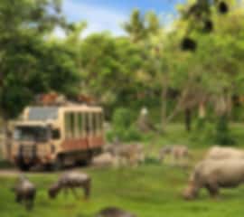Action-Packed Bali Family Holiday