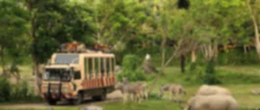 Action-Packed Bali Family Holiday from pune