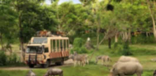 Action-Packed Bali Family Holiday from chennai