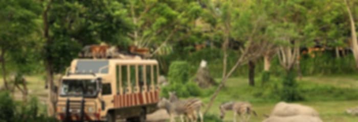Adventure-Filled Bali Honeymoon