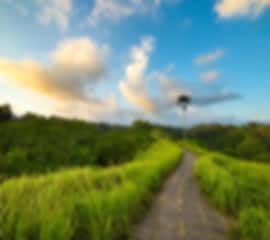 Bali Family Getaway – Wildlife, Waterfalls & Beaches