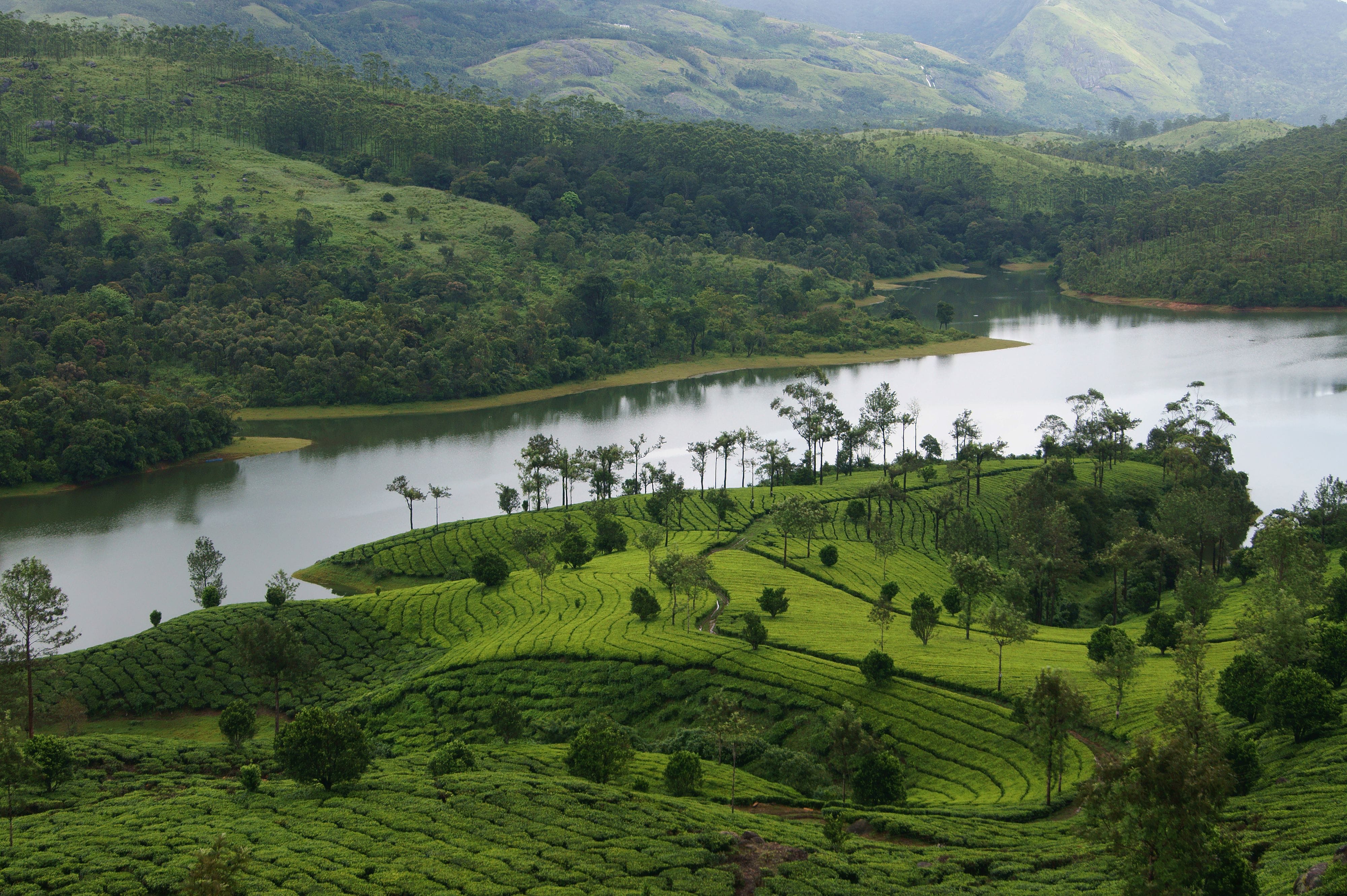 Coast to Culture: The Ultimate Kerala Experience