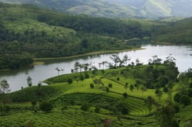 Coast to Culture: The Ultimate Kerala Experience