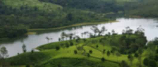 Coast to Culture: The Ultimate Kerala Experience
