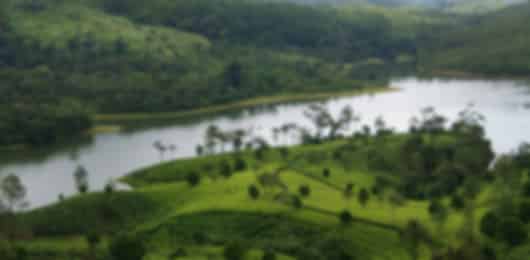 Coast to Culture: The Ultimate Kerala Experience