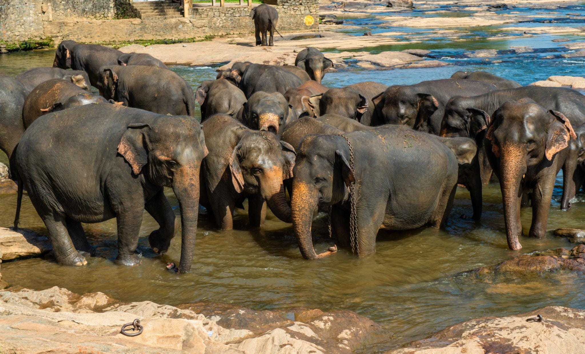 3 Nights Sri Lanka Highlands & Coastal Escape
