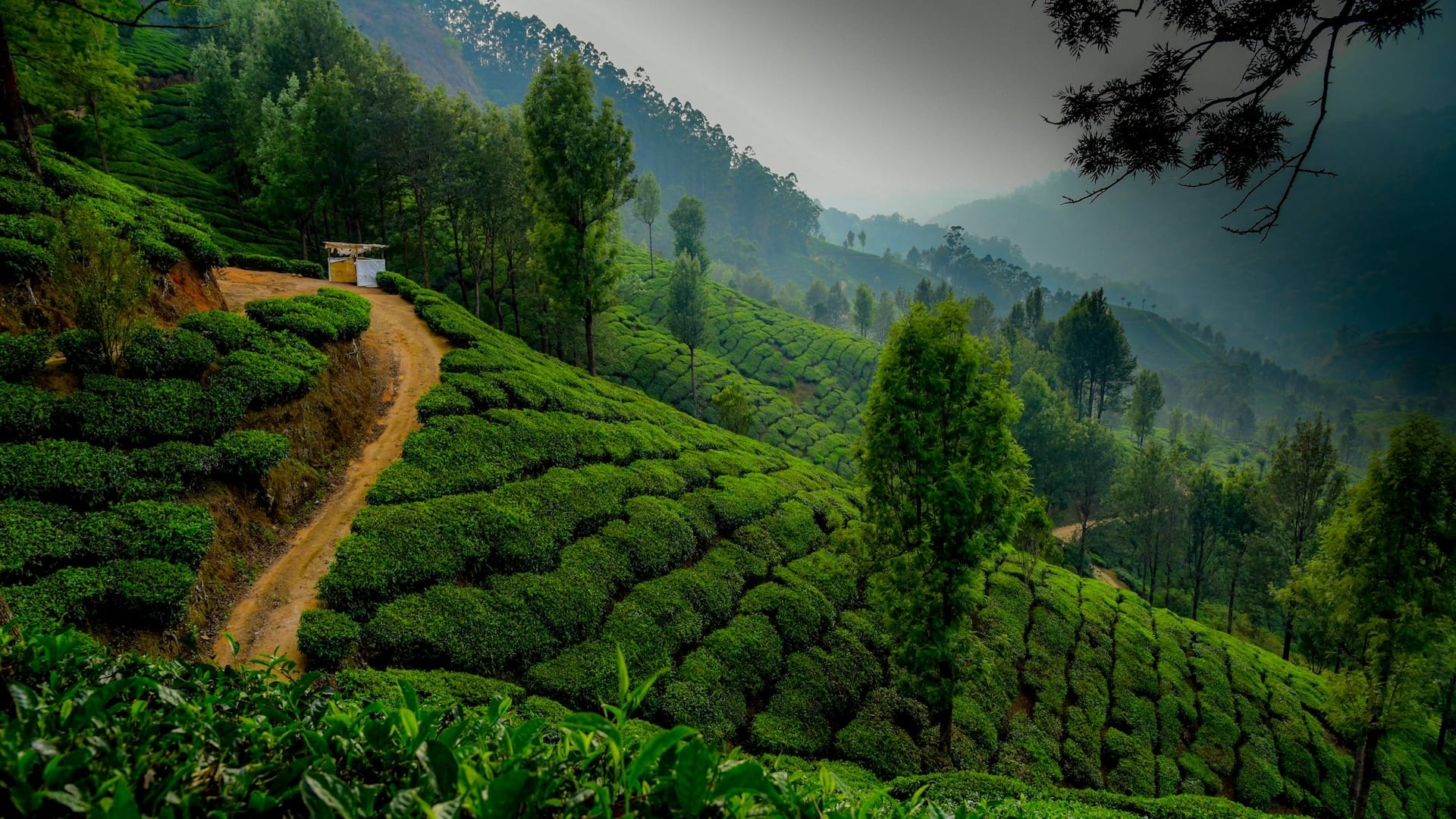A Captivating Kerala Escape
