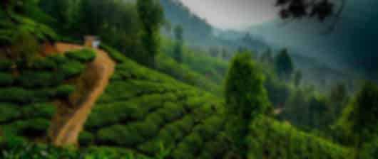 A Captivating Kerala Escape