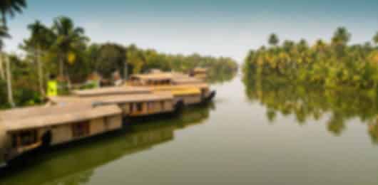 Kochi Explorer – Discover Culture, Heritage and Coastal Charm