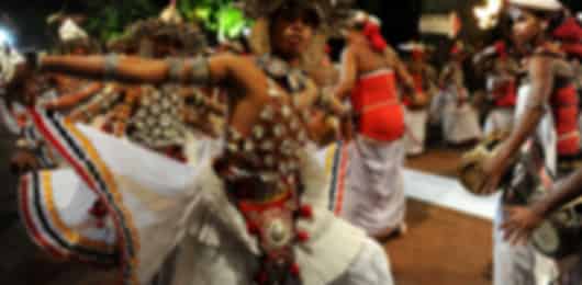 4 Nights Sri Lanka Heritage & Coastal Escape | Hills, Wildlife & Shore