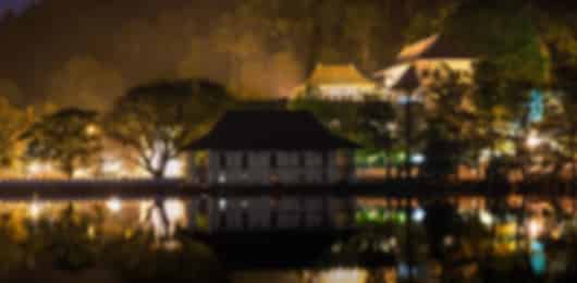 5 Nights Sri Lanka Heritage, Highlands & Coast | Culture, Tea & Leisure