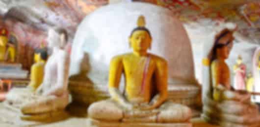 5 Nights Sri Lanka Heritage, Highlands & City Escape | Culture, Tea & Discovery