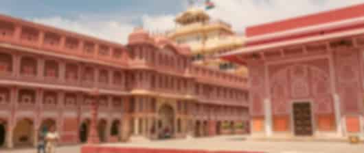 Pink City & Tiger Trails