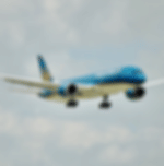 Arrive in Amsterdam airport. Get transferred to your hotel.