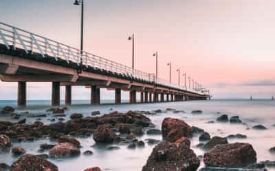 Brisbane Tour Packages