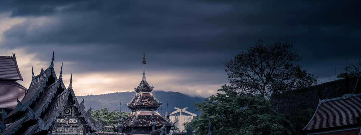 Chiang Mai Holiday Packages from UAE
