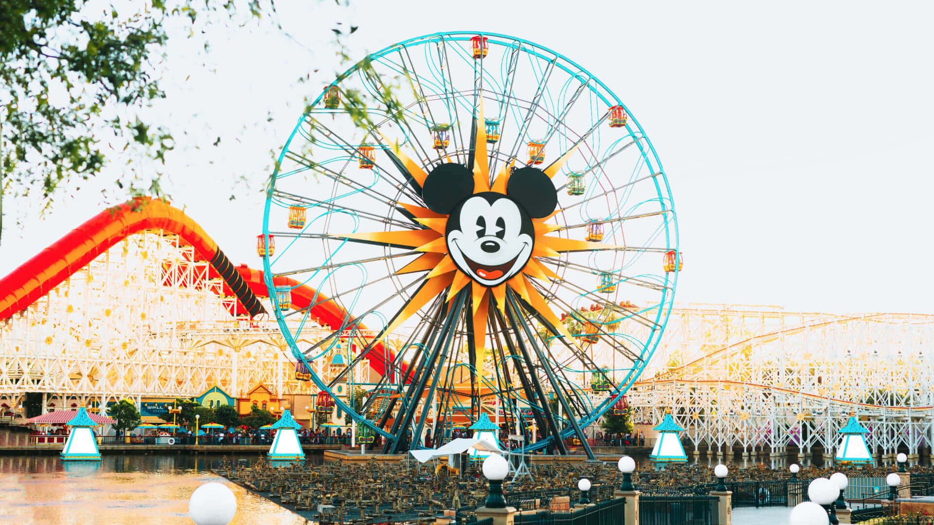Disneyland Family Tour Packages