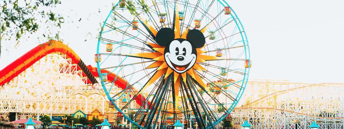 Disneyland Holidays