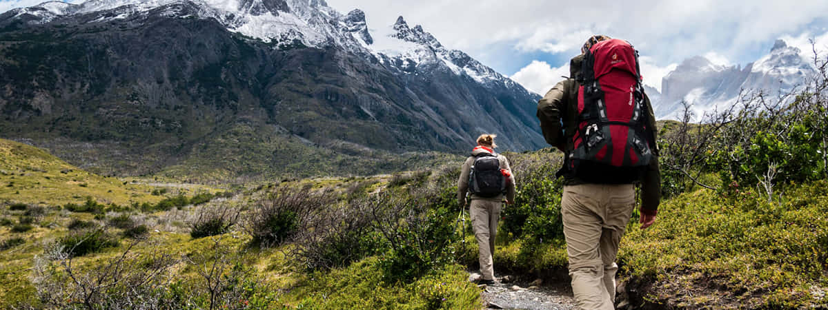 Hiking Tours