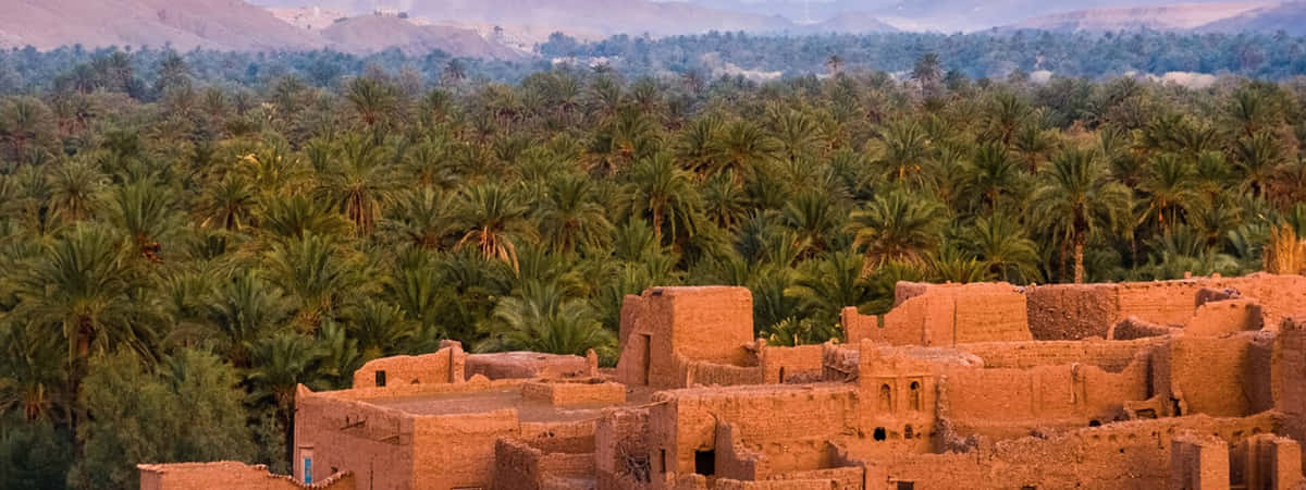 7 Nights 8 Days Morocco Tour Packages(Itinerary) from USA