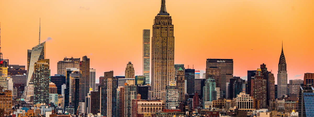 New York Family Tour Packages