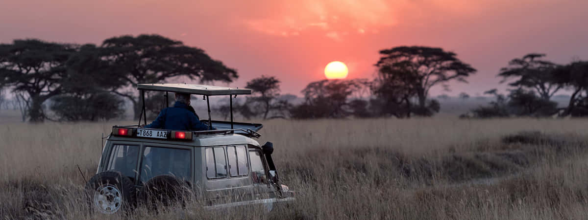 Safari Tours