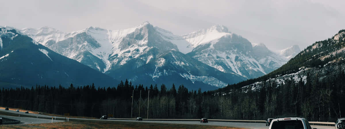Self Drive Tours