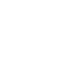 Play icon