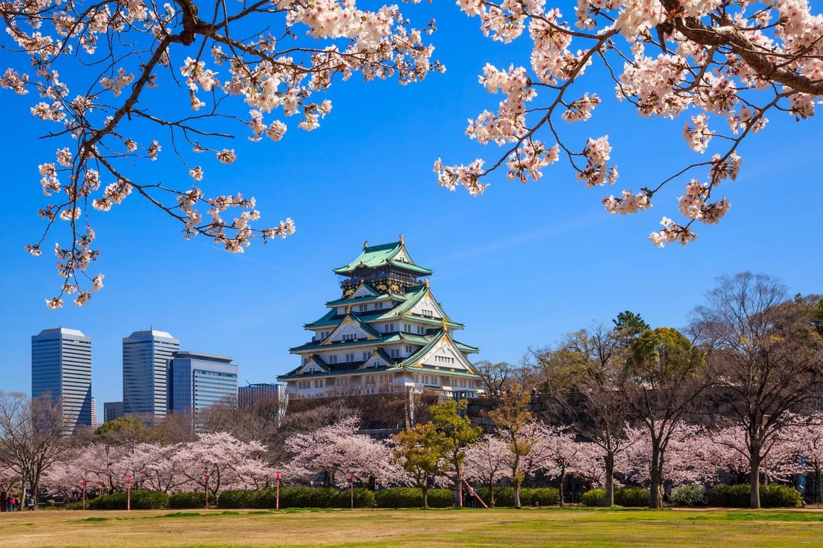 japan2.jpg
