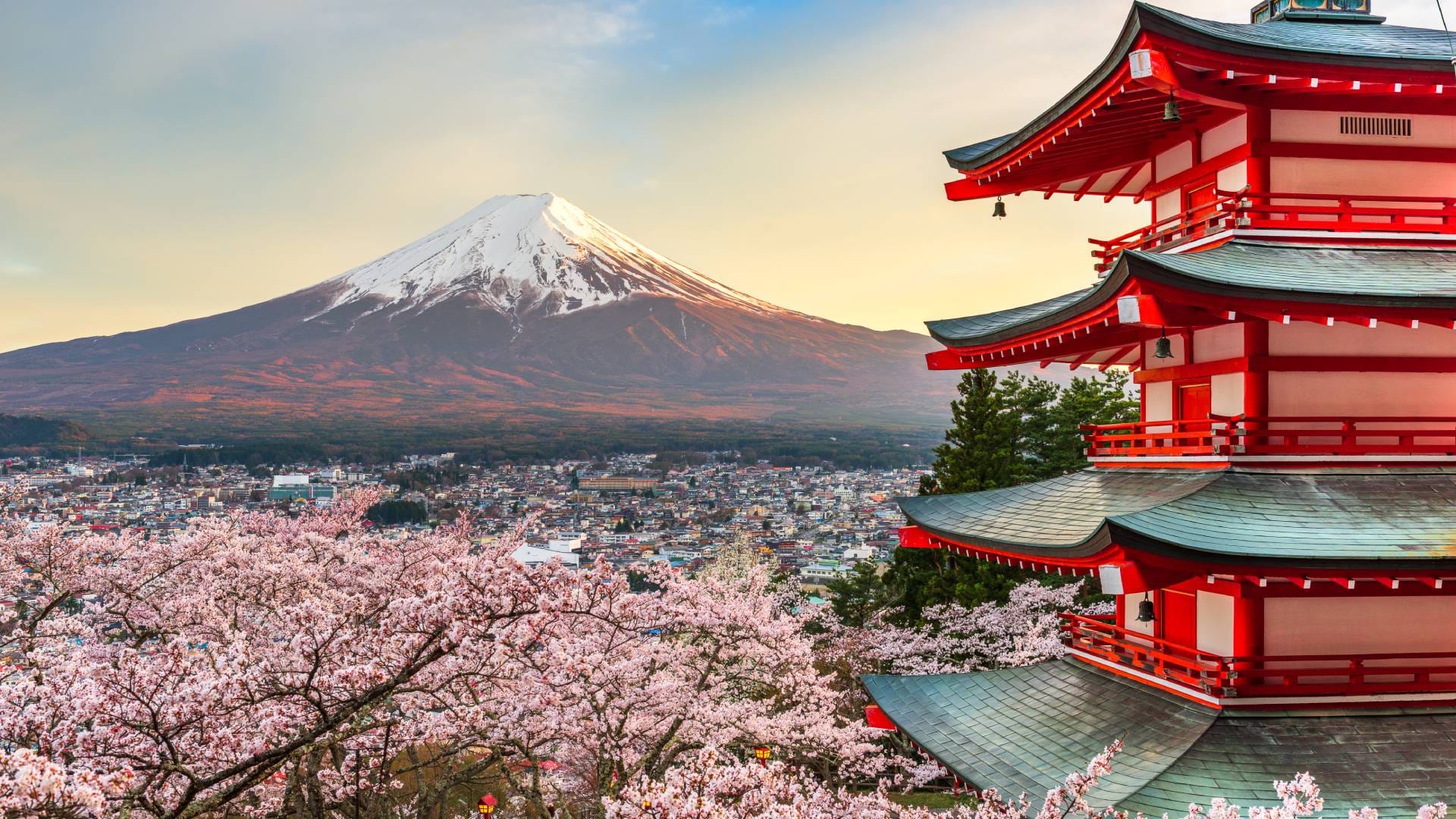 Japan Tourism Guide : Complete Travel Guide for Your Perfect Vacation