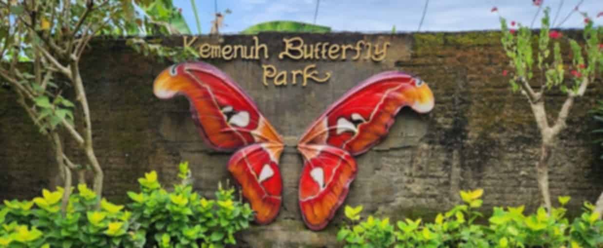 Kemenuh Butterfly Park Guide 2026: Tickets, Highlights, Timings & Visiting Tips