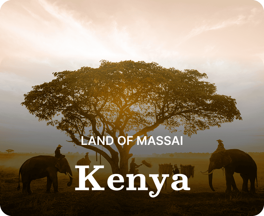 themed-media-cards-vacations/kenya-deals