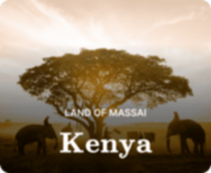 vacations/kenya-deals
