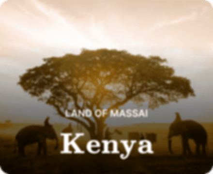 vacations/kenya-deals