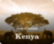 vacations/kenya-deals