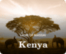 packages/kenya