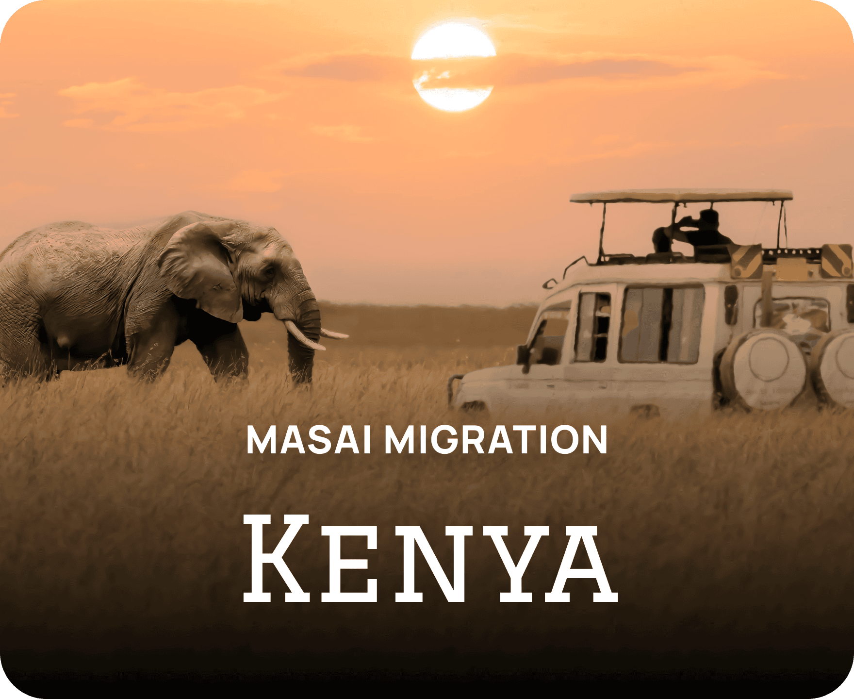 vacations/kenya-deals
