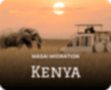 vacations/kenya-deals