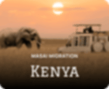 vacations/kenya-deals