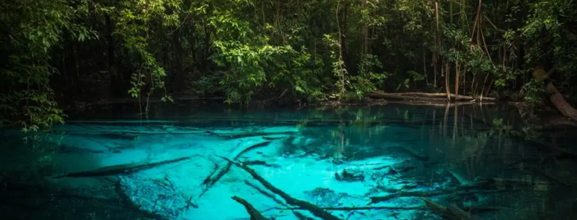 khao-phanom-bencha-national-park