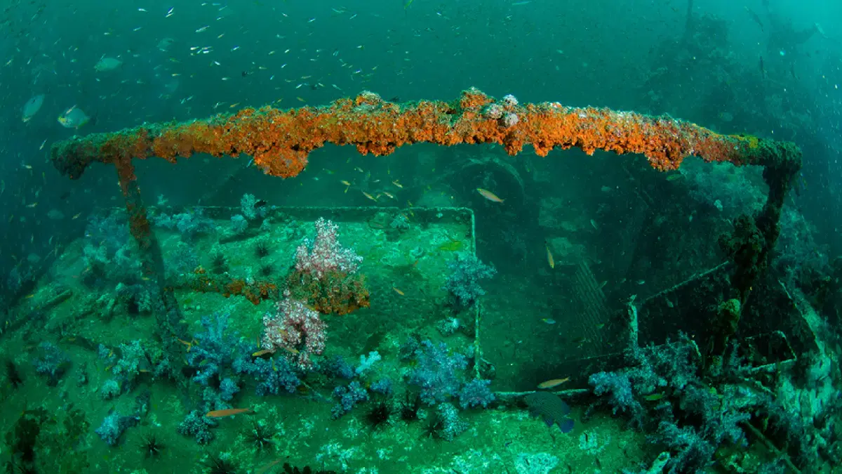 king cruiser wreck