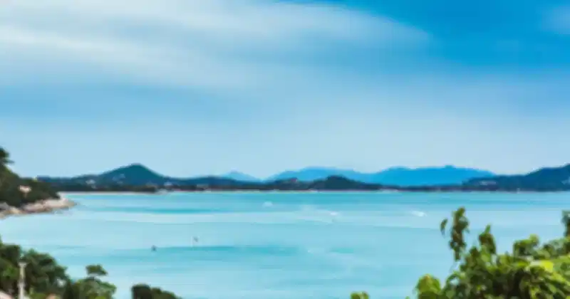 koh_samui_island_cc056ecbcc.webp