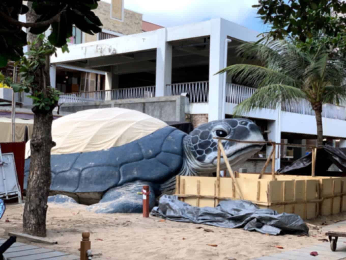 Kuta Beach Sea Turtle Conservation