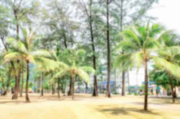 Loma Park Phuket: Complete Culture, Food & Lifestyle Guide