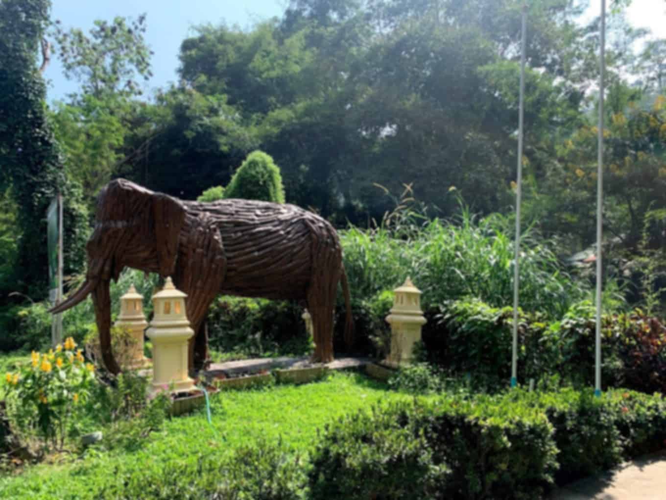 Mae Sa Elephant Camp Chiang Mai - Elephant Encounters Await