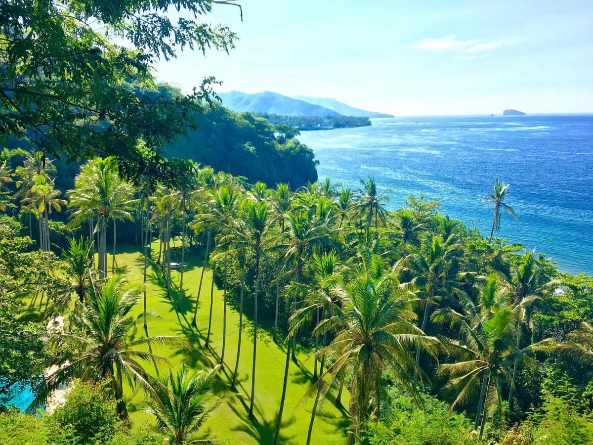 manggis bali