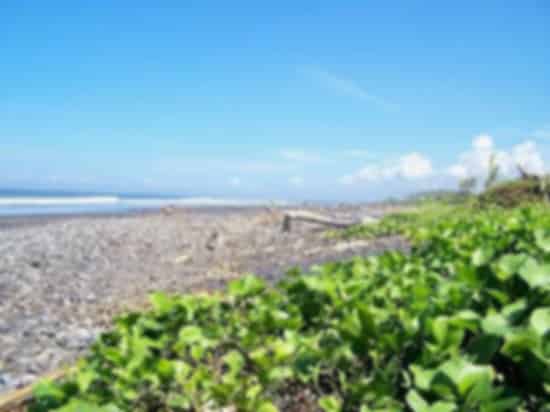 Medewi Beach, Bali: Experience Surfing & Beachfront Relaxation