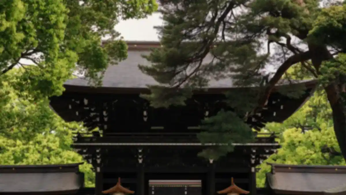 Meiji Shrine Tokyo: History, Architecture, Timings & Visitor Guide